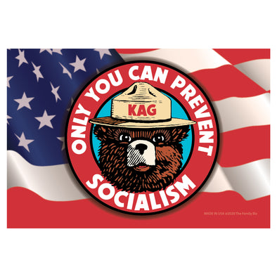 Smokey Bear Socialism Magnet